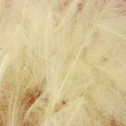 Nature's Spirit Duck CDC - Funky Fly Tying -Fly Tying Materials Sales Natures Spirit Duck CDC Tannish Yellow 1