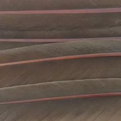 Nature's Spirit Duck Quills - Funky Fly Tying -Fly Tying Materials Sales Natures Spirit Duck Quills Brown 1