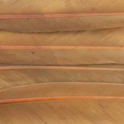 Nature's Spirit Duck Quills - Funky Fly Tying -Fly Tying Materials Sales Natures Spirit Duck Quills Cinnamon 1
