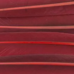 Nature's Spirit Duck Quills - Funky Fly Tying -Fly Tying Materials Sales Natures Spirit Duck Quills Claret