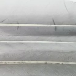 Nature's Spirit Duck Quills - Funky Fly Tying -Fly Tying Materials Sales Natures Spirit Duck Quills Medium Dun 1