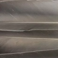 Nature's Spirit Duck Quills - Funky Fly Tying -Fly Tying Materials Sales Natures Spirit Duck Quills Natural Grey