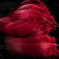 Nature's Spirit Dyed Bronze Mallard - Funky Fly Tying -Fly Tying Materials Sales Natures Spirit Dyed Bronze Mallard Claret 1