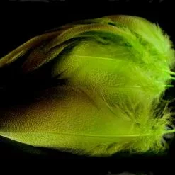 Nature's Spirit Dyed Bronze Mallard - Funky Fly Tying -Fly Tying Materials Sales Natures Spirit Dyed Bronze Mallard Fluo Chartereuse