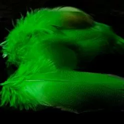 Nature's Spirit Dyed Bronze Mallard - Funky Fly Tying -Fly Tying Materials Sales Natures Spirit Dyed Bronze Mallard Green