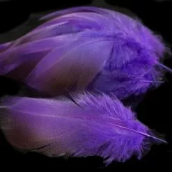 Nature's Spirit Dyed Bronze Mallard - Funky Fly Tying -Fly Tying Materials Sales Natures Spirit Dyed Bronze Mallard Purple