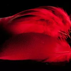 Nature's Spirit Dyed Bronze Mallard - Funky Fly Tying -Fly Tying Materials Sales Natures Spirit Dyed Bronze Mallard Red 1