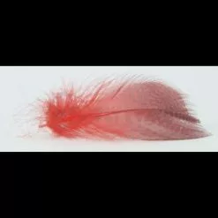 Nature's Spirit Gadwell Flank Feathers - Funky Fly Tying -Fly Tying Materials Sales Natures Spirit Gadwell Flank Feathers 10 1