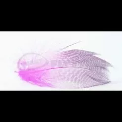 Nature's Spirit Gadwell Flank Feathers - Funky Fly Tying -Fly Tying Materials Sales Natures Spirit Gadwell Flank Feathers 11