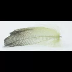 Nature's Spirit Gadwell Flank Feathers - Funky Fly Tying -Fly Tying Materials Sales Natures Spirit Gadwell Flank Feathers 13 1