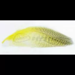 Nature's Spirit Gadwell Flank Feathers - Funky Fly Tying -Fly Tying Materials Sales Natures Spirit Gadwell Flank Feathers 14