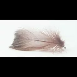 Nature's Spirit Gadwell Flank Feathers - Funky Fly Tying -Fly Tying Materials Sales Natures Spirit Gadwell Flank Feathers 3