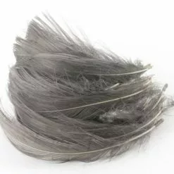 Nature's Spirit Goose Flank Spey Hackle - Funky Fly Tying -Fly Tying Materials Sales Natures Spirit Goose Flank Spey Hackle Heron Grey 1