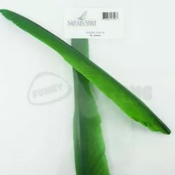 Nature's Spirit Goose Quill Body - Funky Fly Tying -Fly Tying Materials Sales Natures Spirit Goose Quills Green 1