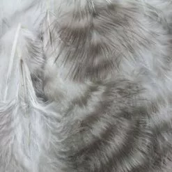 Nature's Spirit Grizzly Marabou - Funky Fly Tying -Fly Tying Materials Sales Natures Spirit Grizzly Marabou Natural