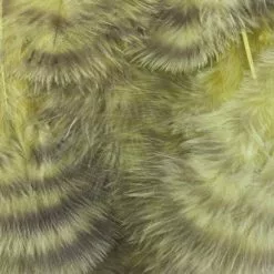 Nature's Spirit Grizzly Marabou - Funky Fly Tying