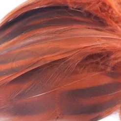 Nature's Spirit Hen Mallard Flanks - Funky Fly Tying -Fly Tying Materials Sales Natures Spirit Hen Mallard Flanks Crawdad Orange