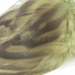 Nature's Spirit Hen Mallard Flanks - Funky Fly Tying -Fly Tying Materials Sales Natures Spirit Hen Mallard Flanks Dark Olive