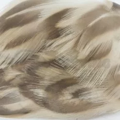 Nature's Spirit Hen Mallard Flanks - Funky Fly Tying -Fly Tying Materials Sales Natures Spirit Hen Mallard Flanks Natural