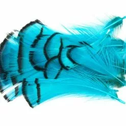 Nature's Spirit Lady Amherst Assorted Tippets Dyed - Funky Fly Tying -Fly Tying Materials Sales Natures Spirit Lady Amherst Assorted Tippets Dyed Fluo Blue 1