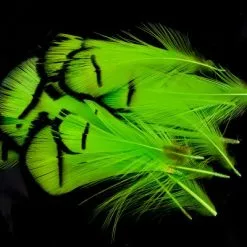 Nature's Spirit Lady Amherst Assorted Tippets Dyed - Funky Fly Tying -Fly Tying Materials Sales Natures Spirit Lady Amherst Assorted Tippets Dyed Fluo Chartereuse