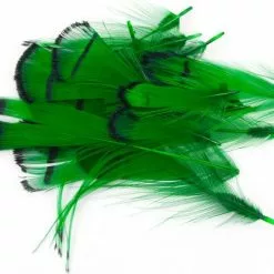 Nature's Spirit Lady Amherst Assorted Tippets Dyed - Funky Fly Tying -Fly Tying Materials Sales Natures Spirit Lady Amherst Assorted Tippets Dyed Highlander Green