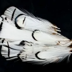 Nature's Spirit Lady Amherst Assorted Tippets Dyed - Funky Fly Tying -Fly Tying Materials Sales Natures Spirit Lady Amherst Assorted Tippets Dyed Natural 1