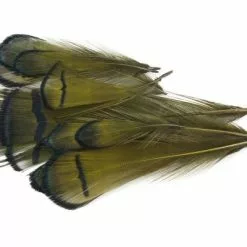 Nature's Spirit Lady Amherst Assorted Tippets Dyed - Funky Fly Tying -Fly Tying Materials Sales Natures Spirit Lady Amherst Assorted Tippets Dyed Olive 1