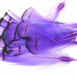 Nature's Spirit Lady Amherst Assorted Tippets Dyed - Funky Fly Tying -Fly Tying Materials Sales Natures Spirit Lady Amherst Assorted Tippets Dyed Purple