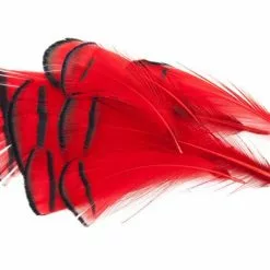 Nature's Spirit Lady Amherst Assorted Tippets Dyed - Funky Fly Tying -Fly Tying Materials Sales Natures Spirit Lady Amherst Assorted Tippets Dyed Red 1