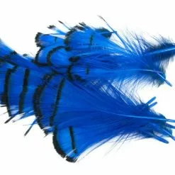 Nature's Spirit Lady Amherst Assorted Tippets Dyed - Funky Fly Tying -Fly Tying Materials Sales Natures Spirit Lady Amherst Assorted Tippets Dyed Royal Blue 1
