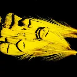 Nature's Spirit Lady Amherst Assorted Tippets Dyed - Funky Fly Tying -Fly Tying Materials Sales Natures Spirit Lady Amherst Assorted Tippets Dyed Yellow