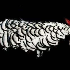 Nature's Spirit Lady Amherst Complete Neck/Head Top Grade - Funky Fly Tying