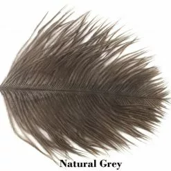 Nature's Spirit Ostrich Herl Pieces - Funky Fly Tying -Fly Tying Materials Sales Natures Spirit Ostrich Pieces Natural Grey