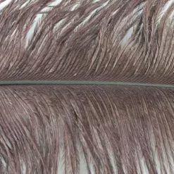Nature's Spirit Ostrich Plumes 10"-12" - Funky Fly Tying -Fly Tying Materials Sales Natures Spirit Ostrich Plumes 10 12 Brown 1