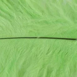 Nature's Spirit Ostrich Plumes 10"-12" - Funky Fly Tying -Fly Tying Materials Sales Natures Spirit Ostrich Plumes 10 12 Lime