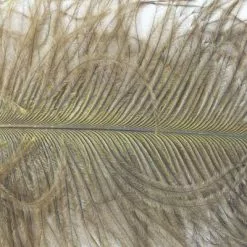 Nature's Spirit Ostrich Plumes 10"-12" - Funky Fly Tying -Fly Tying Materials Sales Natures Spirit Ostrich Plumes 10 12 Olive
