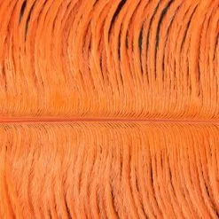 Nature's Spirit Ostrich Plumes 10"-12" - Funky Fly Tying -Fly Tying Materials Sales Natures Spirit Ostrich Plumes 10 12 Orange