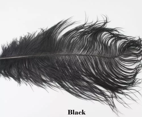 Nature's Spirit Ostrich Plumes 14"-16" - Funky Fly Tying 16 Nature's Spirit Ostrich Plumes 14"-16" - Funky Fly Tying - Image 14
