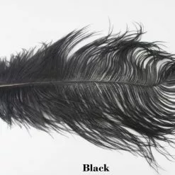 Nature's Spirit Ostrich Plumes 14"-16" - Funky Fly Tying 38 Nature's Spirit Ostrich Plumes 14"-16" - Funky Fly Tying -Fly Tying Materials Sales Natures Spirit Ostrich Plumes 14 16 Black