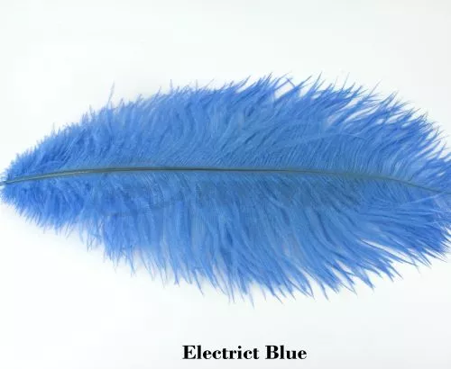 Nature's Spirit Ostrich Plumes 14"-16" - Funky Fly Tying 14 Nature's Spirit Ostrich Plumes 14"-16" - Funky Fly Tying - Image 12