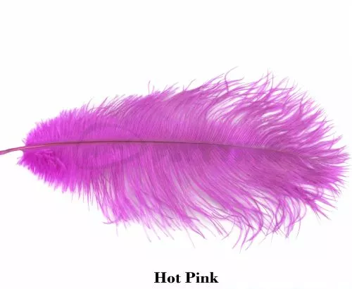 Nature's Spirit Ostrich Plumes 14"-16" - Funky Fly Tying 11 Nature's Spirit Ostrich Plumes 14"-16" - Funky Fly Tying - Image 9