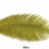 Nature's Spirit Ostrich Plumes 14"-16" - Funky Fly Tying -Fly Tying Materials Sales Natures Spirit Ostrich Plumes 14 16 Olive