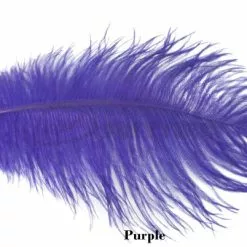 Nature's Spirit Ostrich Plumes 14"-16" - Funky Fly Tying 48 Nature's Spirit Ostrich Plumes 14"-16" - Funky Fly Tying -Fly Tying Materials Sales Natures Spirit Ostrich Plumes 14 16 Purple