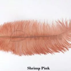 Nature's Spirit Ostrich Plumes 14"-16" - Funky Fly Tying 45 Nature's Spirit Ostrich Plumes 14"-16" - Funky Fly Tying -Fly Tying Materials Sales Natures Spirit Ostrich Plumes 14 16 Shrimp Pink 1