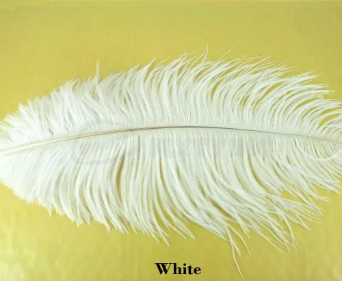 Nature's Spirit Ostrich Plumes 14"-16" - Funky Fly Tying 17 Nature's Spirit Ostrich Plumes 14"-16" - Funky Fly Tying - Image 15