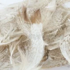 Nature's Spirit Premium Partridge Feathers - Funky Fly Tying 30 Nature's Spirit Premium Partridge Feathers - Funky Fly Tying -Fly Tying Materials Sales Natures Spirit Premium Partridge feathers Bleached