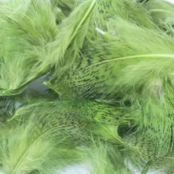 Nature's Spirit Premium Partridge Feathers - Funky Fly Tying 24 Nature's Spirit Premium Partridge Feathers - Funky Fly Tying -Fly Tying Materials Sales Natures Spirit Premium Partridge feathers Caddis Green