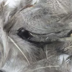 Nature's Spirit Premium Partridge Feathers - Funky Fly Tying 23 Nature's Spirit Premium Partridge Feathers - Funky Fly Tying -Fly Tying Materials Sales Natures Spirit Premium Partridge feathers Medium Dun 1
