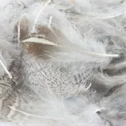 Nature's Spirit Premium Partridge Feathers - Funky Fly Tying